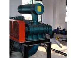 凯发k8官网登陆:《护宝寻踪》背面的盗墓案